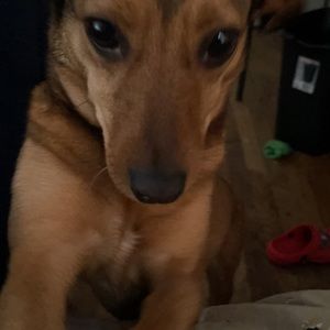 Meet your Posher, Catherine